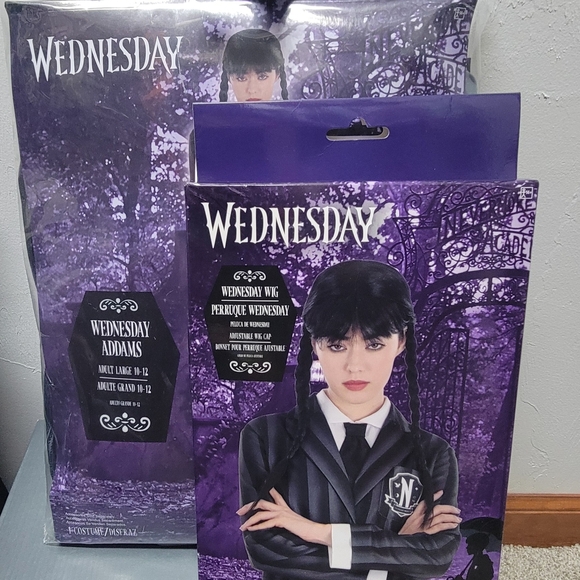 NWT Wednesday Addams Women's Size L 10/12 Costume and Black Wednesday Wig - Picture 1 of 7